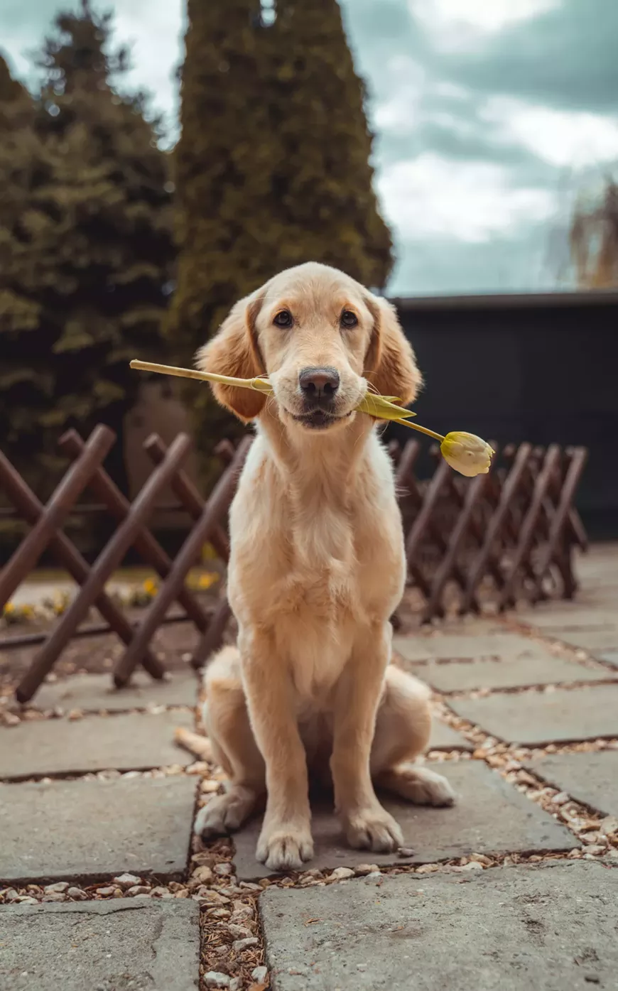 richard-brutyo-sg3xwuepybu-unsplash.webp
