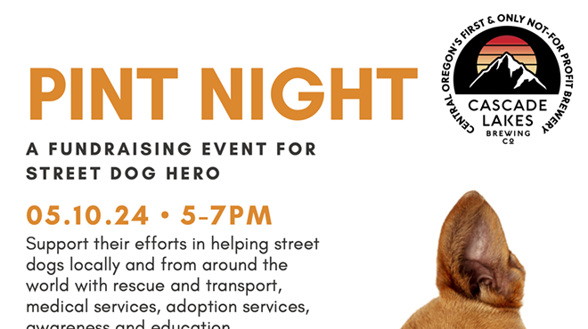 Image: Pint Night Supporting Street Dog Hero