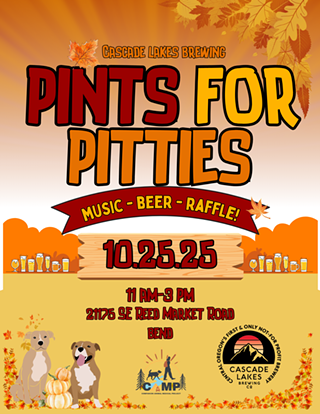 Image: Pints for Pitties