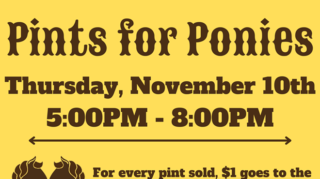 Image: Pints for Ponies