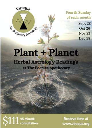 Image: Plant & Planet Herbal Astrology Consult