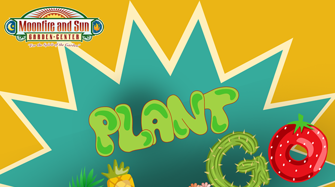 Image: Plant Bingo Night in The Greenhouse!