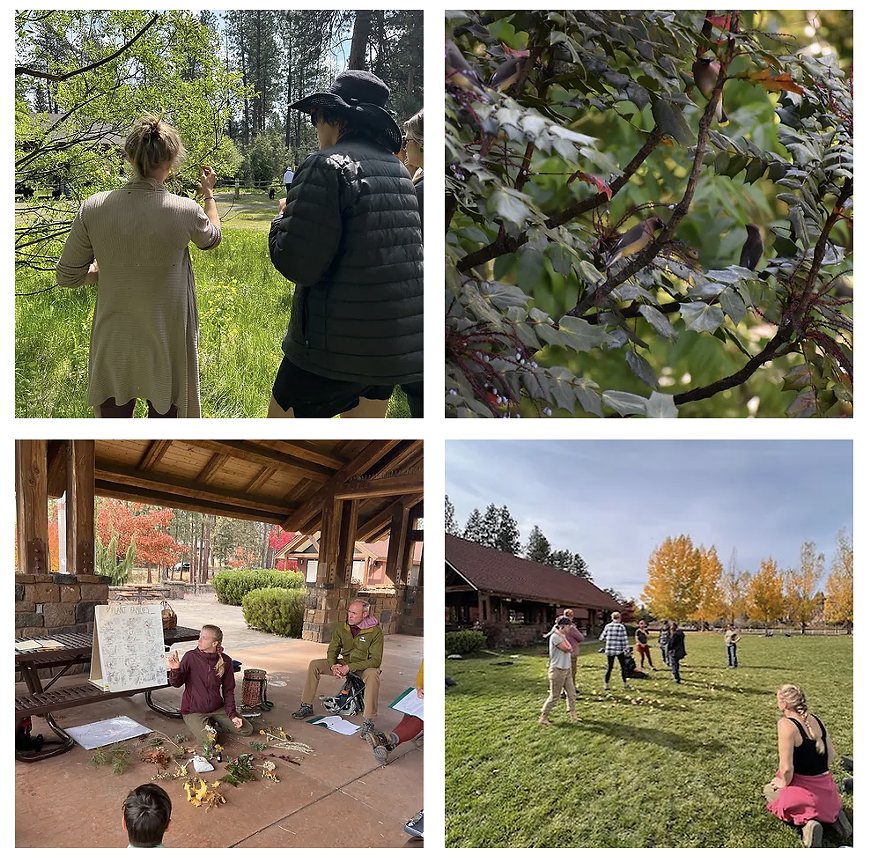 Plant Families Workshop