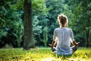 Image: Plant Spirit Meditations