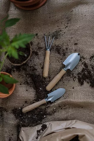 Image: Planting Party at Franklin's Corner Pollinator Garden