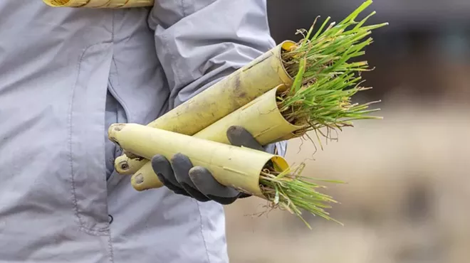Image: Planting Party