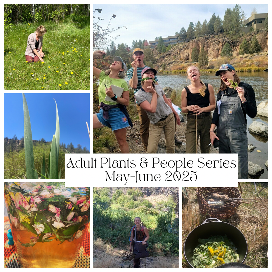 Plants + People Workshop Series