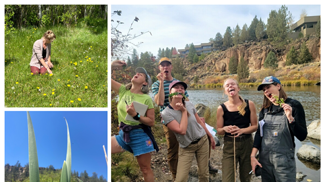 Image: Plants + People Course Series