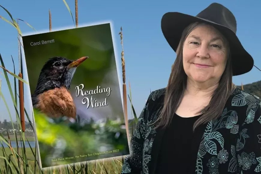 readingwind-carolbarrett-720x480px.webp
