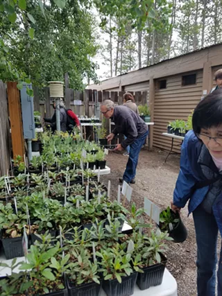 Image: POSTPONED - Native Plant Sale