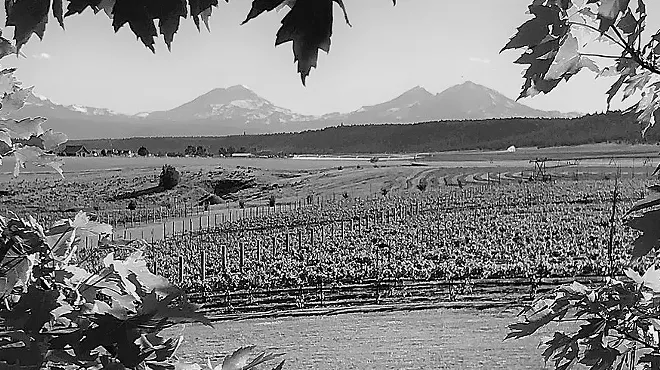 Image: Praise Music in the Vineyard