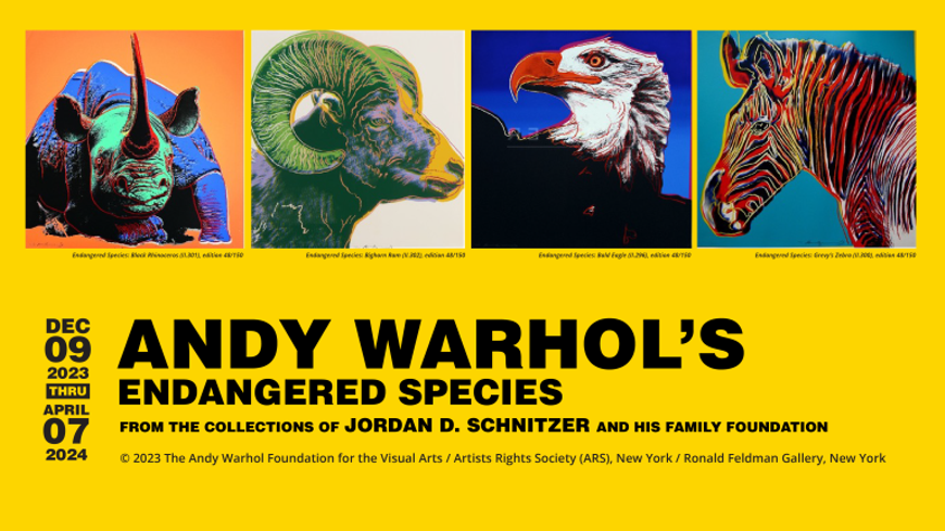 warholwebbanner_inside-768x432.png