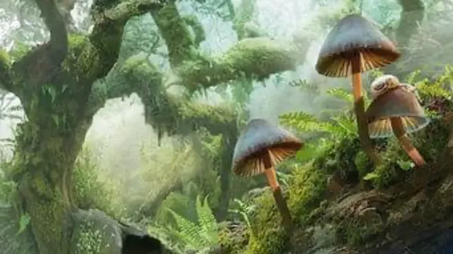 Image: Psychedelic Film Series - Fantastic Fungi