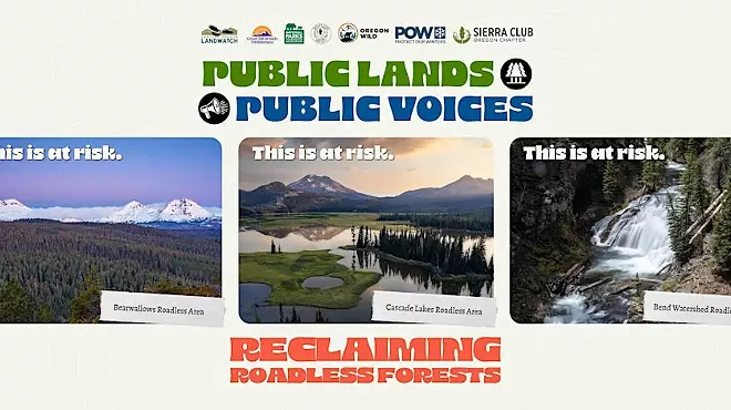 Image: Public Lands, Public Voices: Reclaiming Roadless Forests