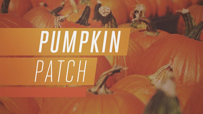 pumpkin_patch-title-2-wide-16x9-1.jpg