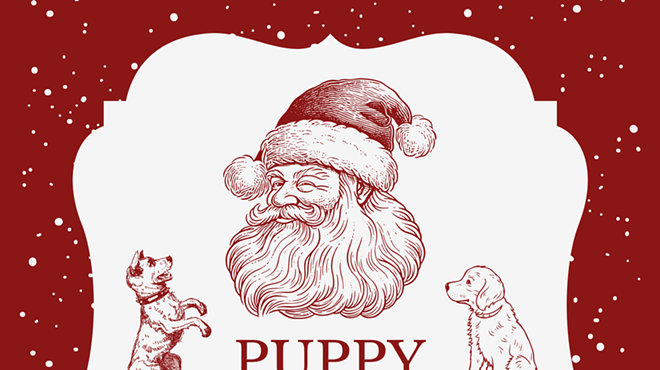 Image: PUPPY PICTURES WITH SANTA