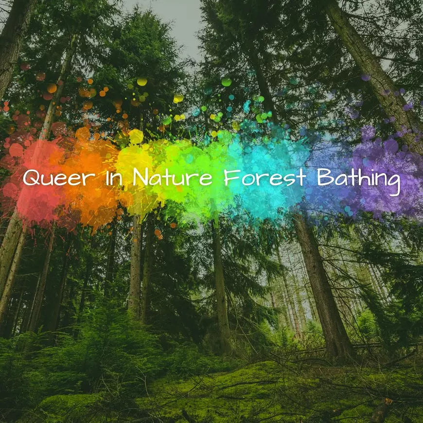 ig-forest-bathing-2.webp