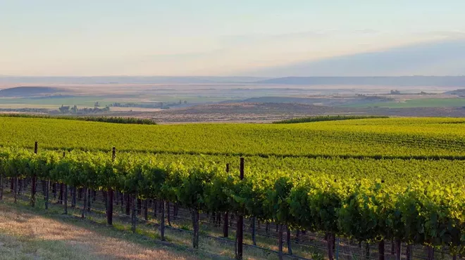 Image: Quintessential Imports Wine Tasting