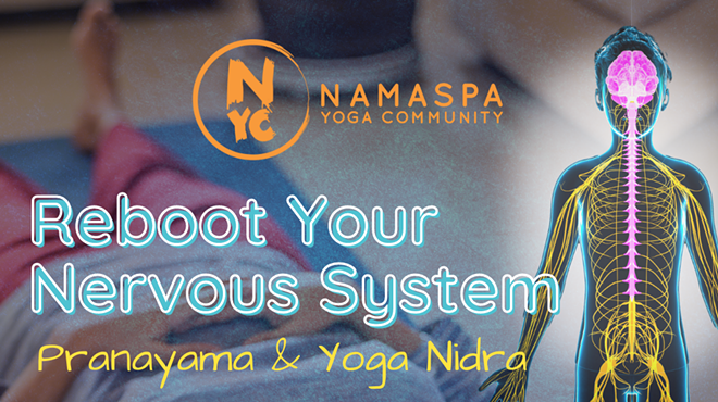 Reboot Your Nervous System with Pranayama and Yoga Nidra
