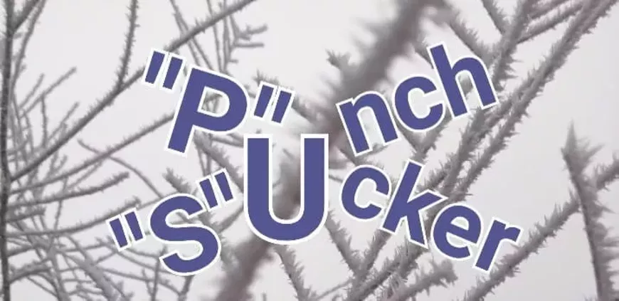 sucker.webp