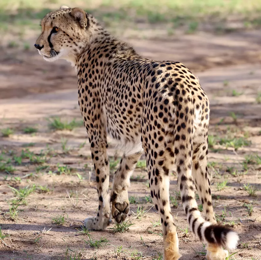 source_photo.webp