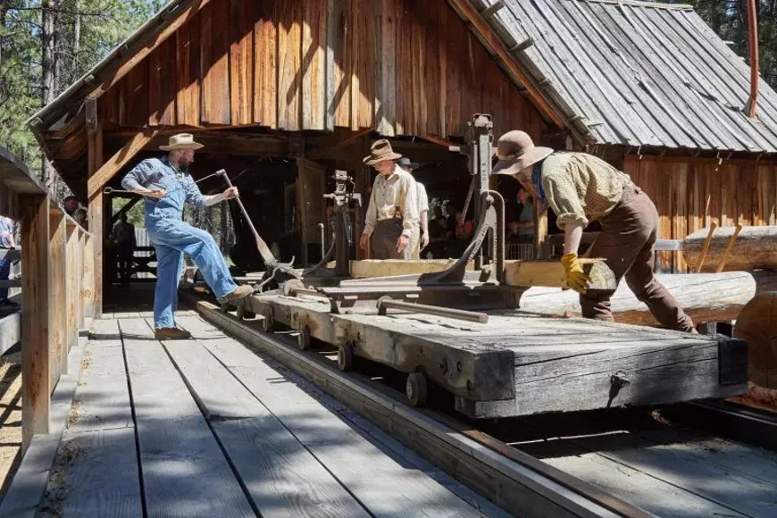 sawmill-768x512.webp