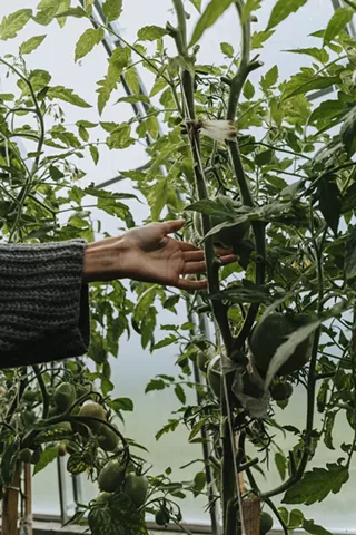 Image: Science Pub: Gardening in the High Desert is "Snow" Joke