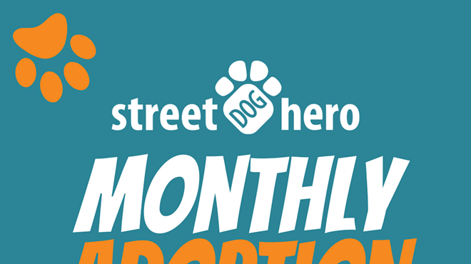 Image: SDH Monthly On-site Adoption Event