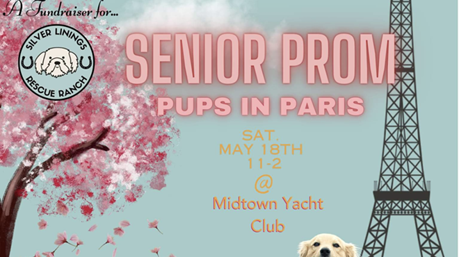 Image: Senior Prom for Dogs: Pups in Paris