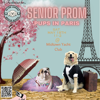 Senior Prom for Dogs: Pups in Paris