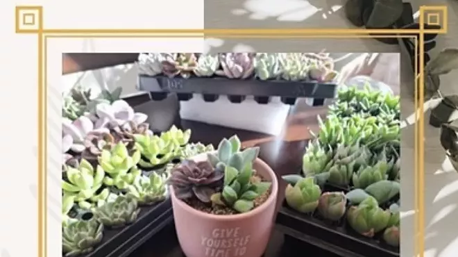 Image: Sip N' Succulents