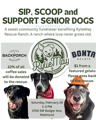 Image: Sip, Scoop & Support Senior Dogs