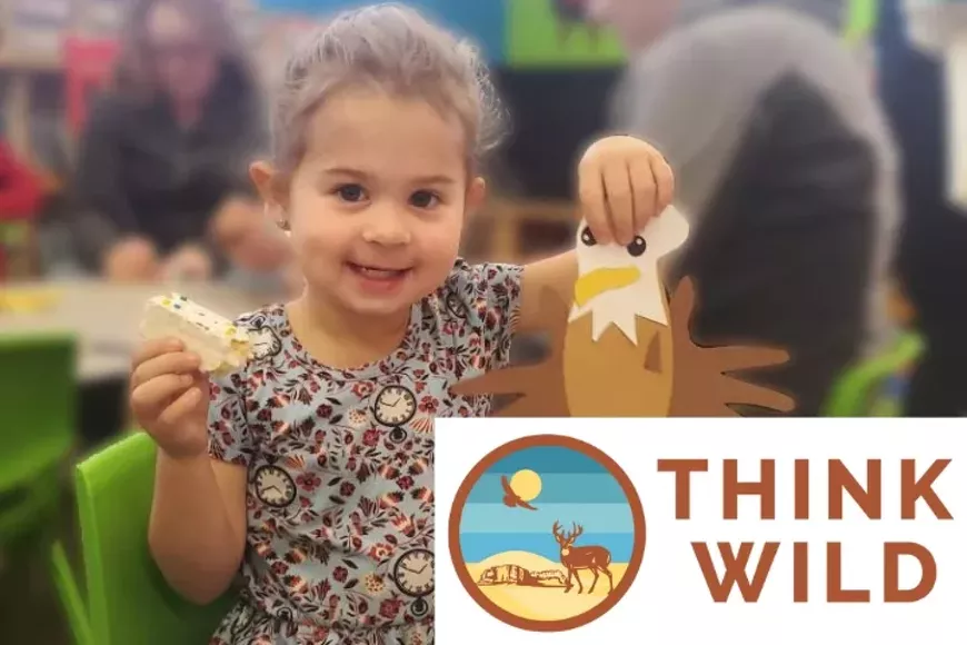wildlifestorieswthinkwild-720x480.webp