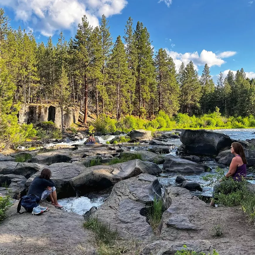 ig-forest-bathing-1-.webp