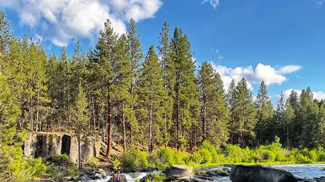 Image: Sit Spot Community Gathering and Meditation: A Mini Forest Bathing Experience