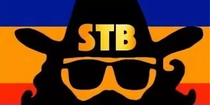 stb.webp