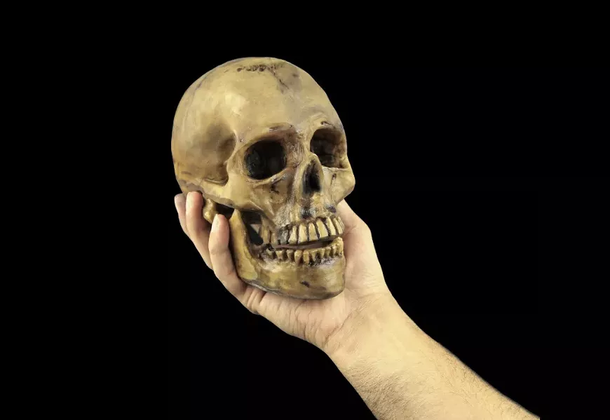 hamlet.webp
