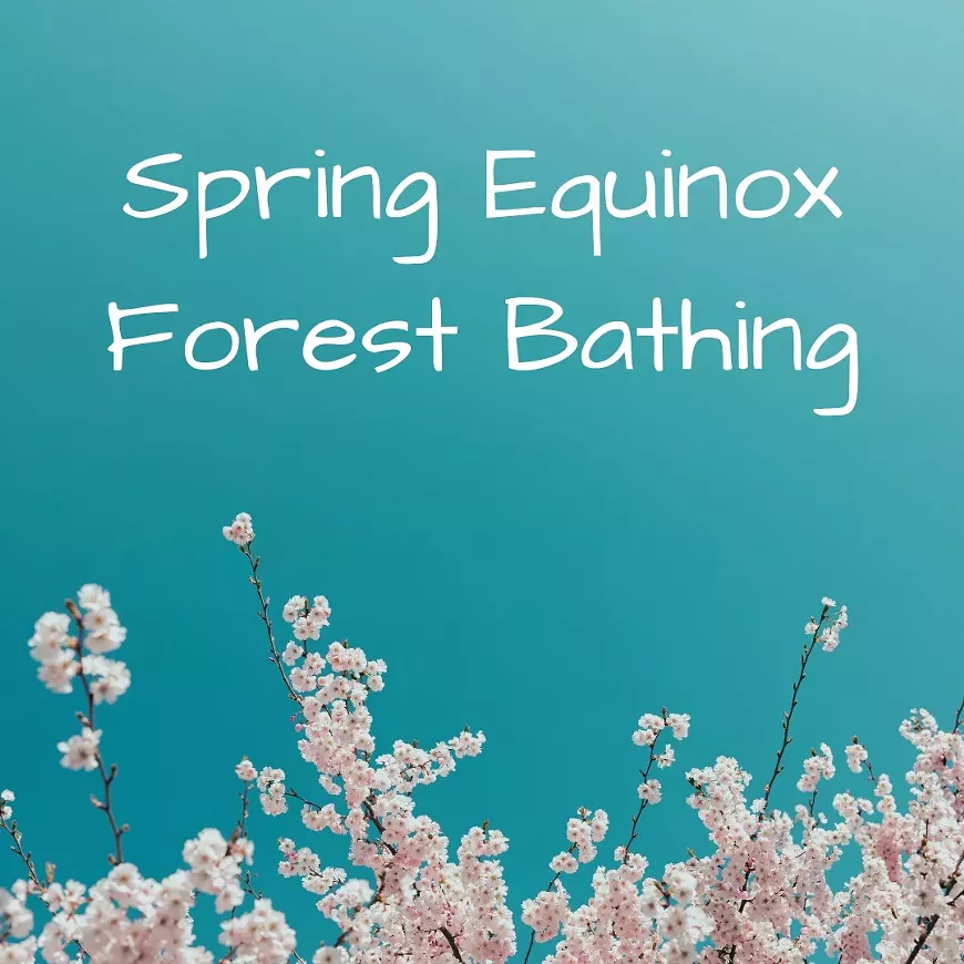 spring-fb-1.webp