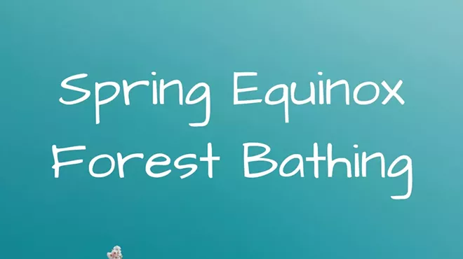 Image: Spring Equinox Forest Bathing