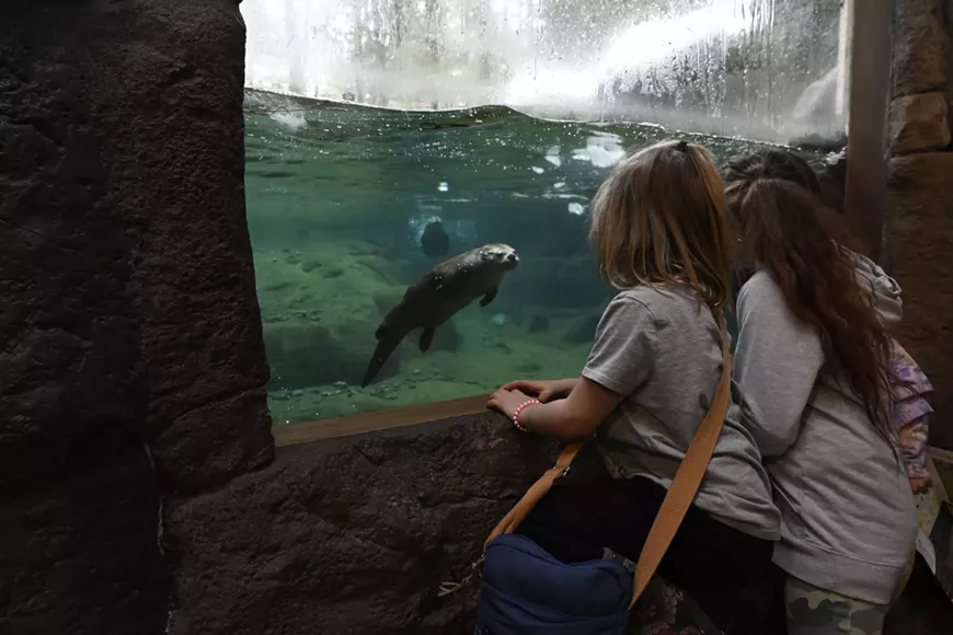 kids-at-otters-credit-bill-jorgens-2048x1365.webp