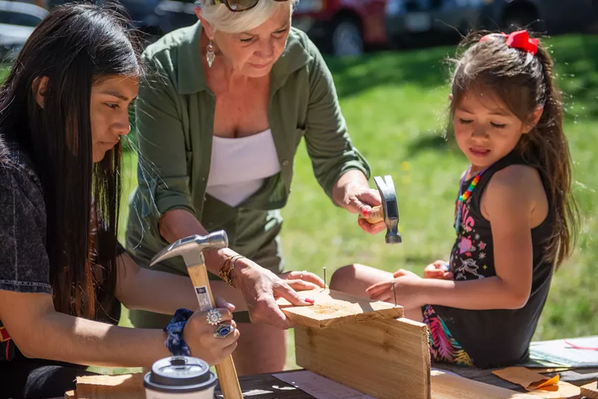 Bird house building