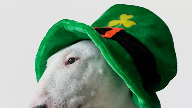 Image: St Paddy's Day - Paint your Guinness Fundraiser for Brightside Animal Shelter