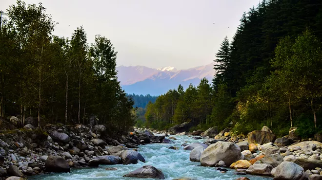 Image: Steelhead Walk
