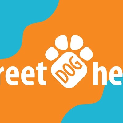 Street Dog Hero Adopt A Shelter Pet Day