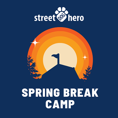 Street Dog Hero Spring Break Camp