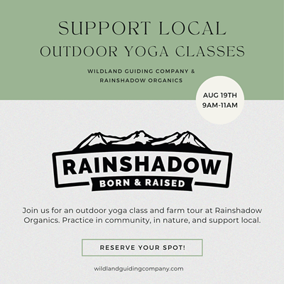 Support Local: Outdoor Yoga Classes