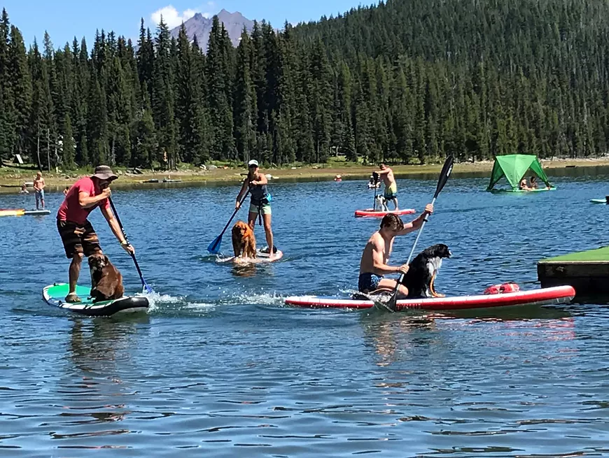 2019_sups_pups_race_turn_elk_lake.webp