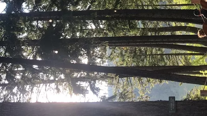 Image: Suttle Lodge's Wine on the Deck: Analemma Wines