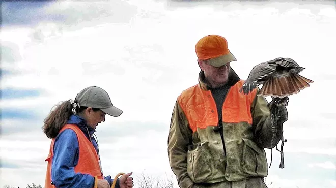 Image: The Art of Falconry: Ancient Sport in a Modern World