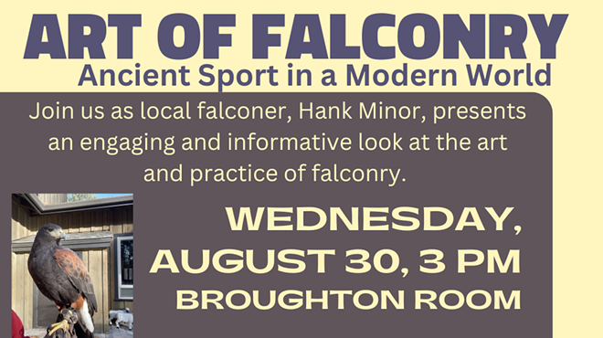 Image: The Art of Falconry